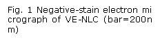 文本框: Fig. 1 Negative-stain electron micrograph of VE-NLC (bar=200nm)